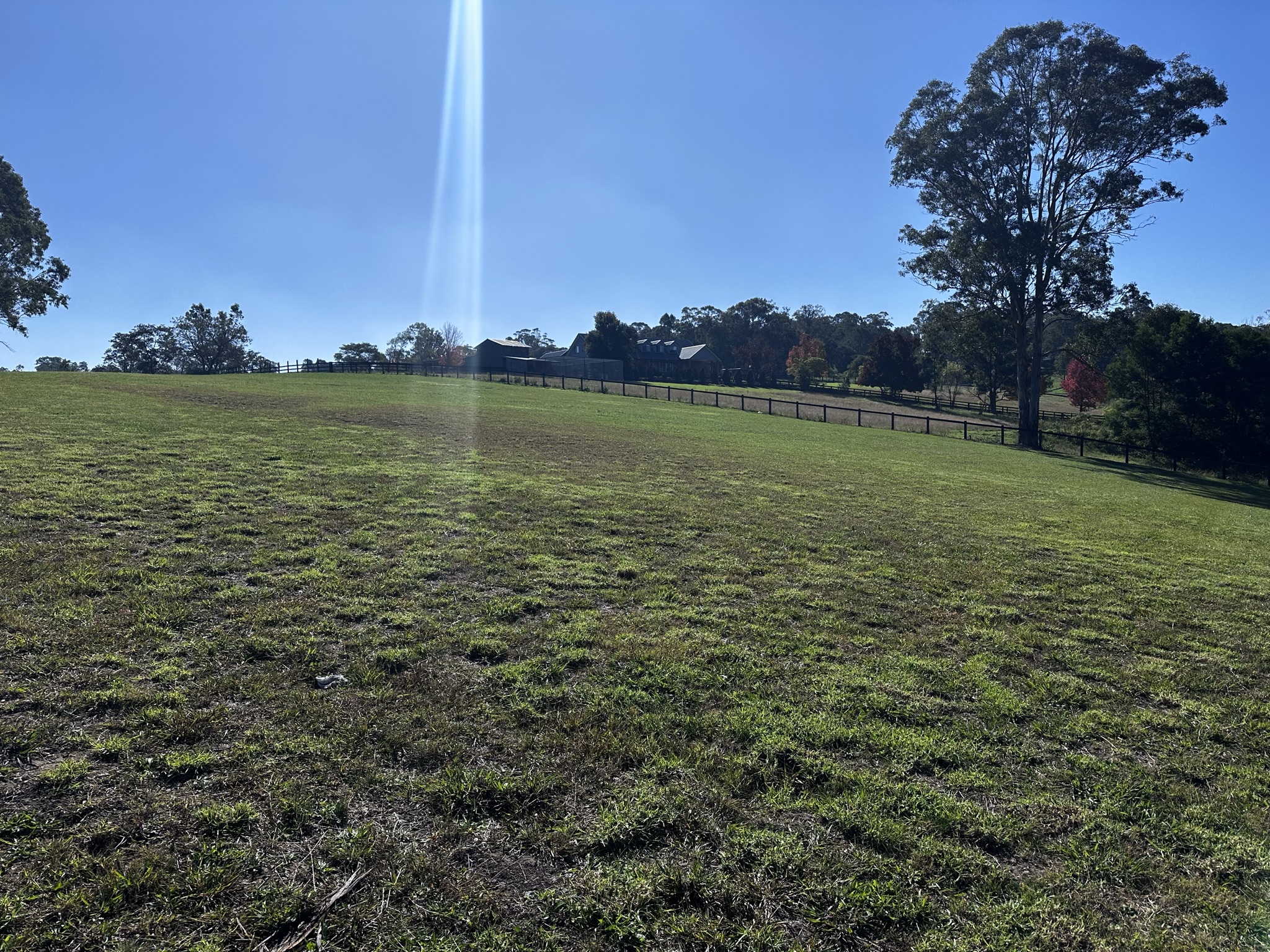 Lot 36 Olearia Place, Kurmond