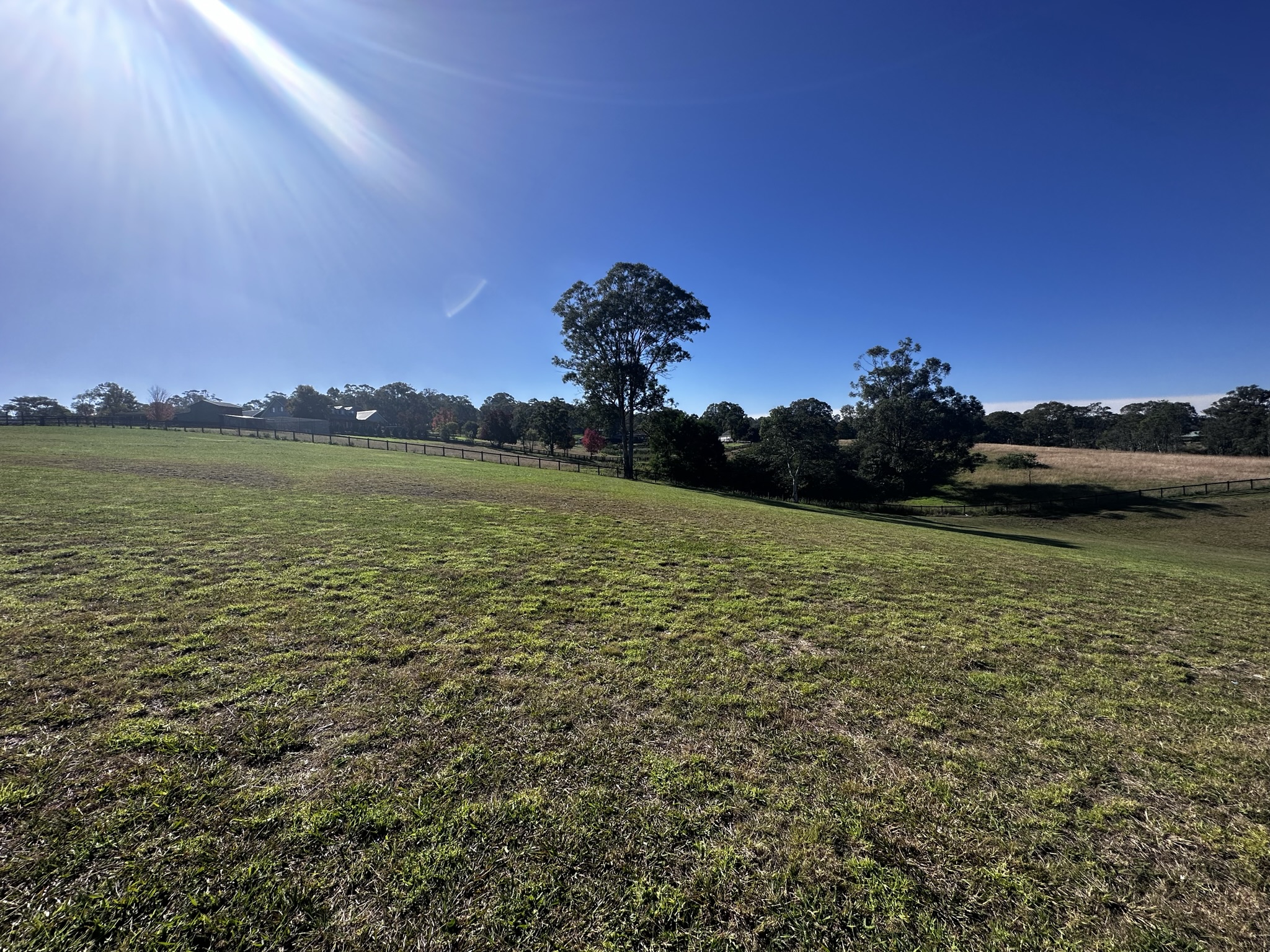 Lot 36 Olearia Place, Kurmond