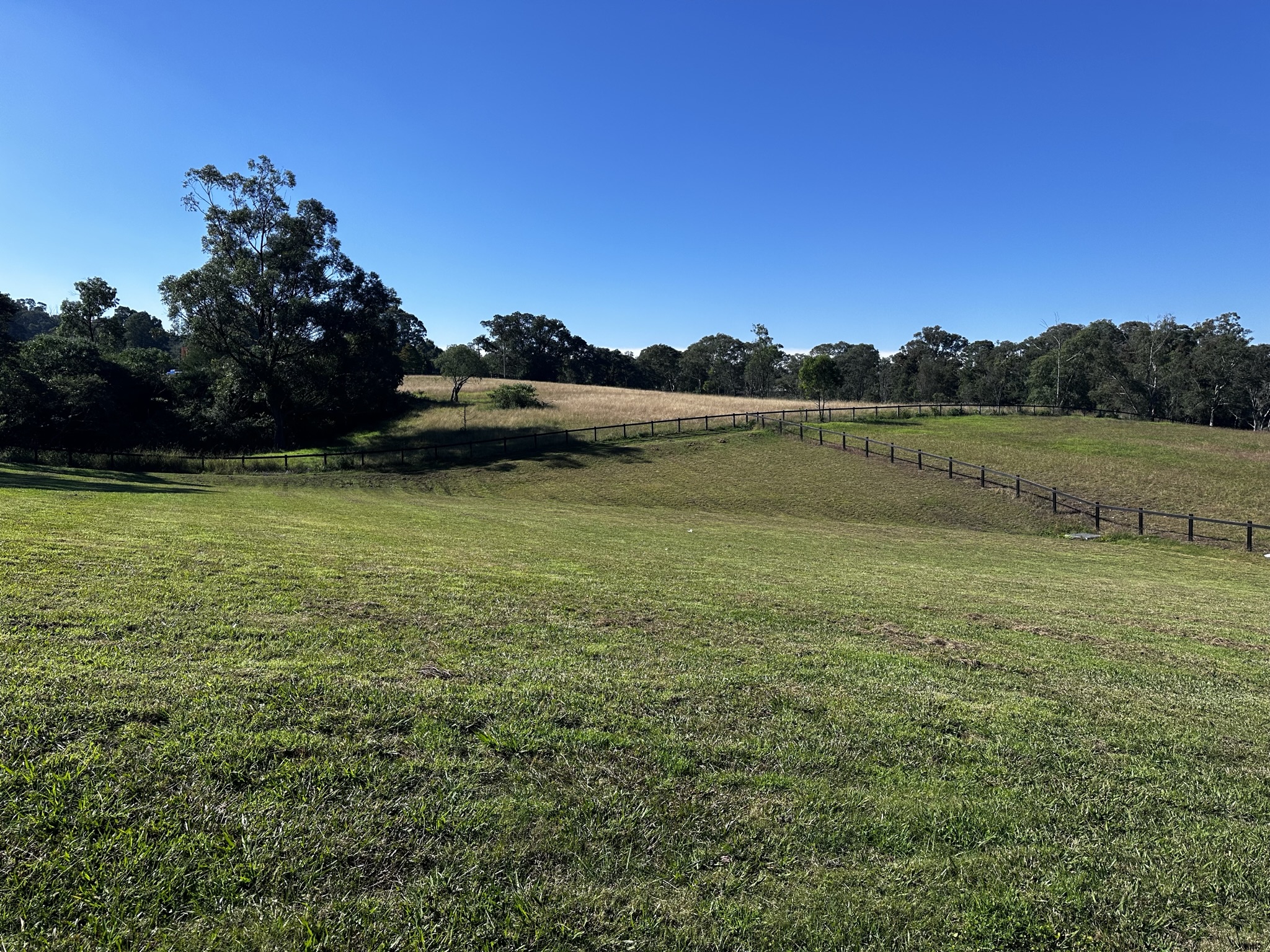 Lot 37 Olearia Place, Kurmond