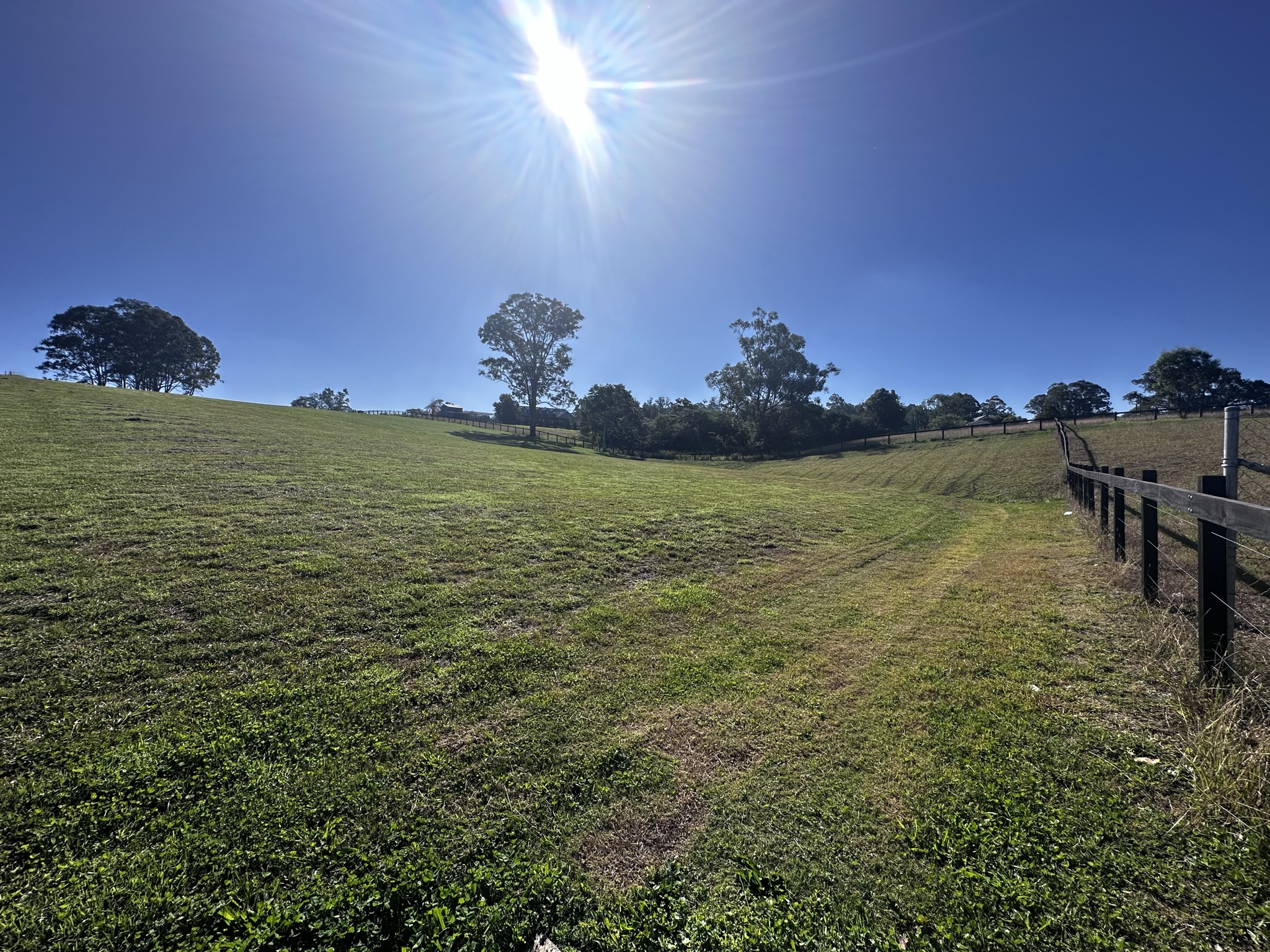 Lot 37 Olearia Place, Kurmond