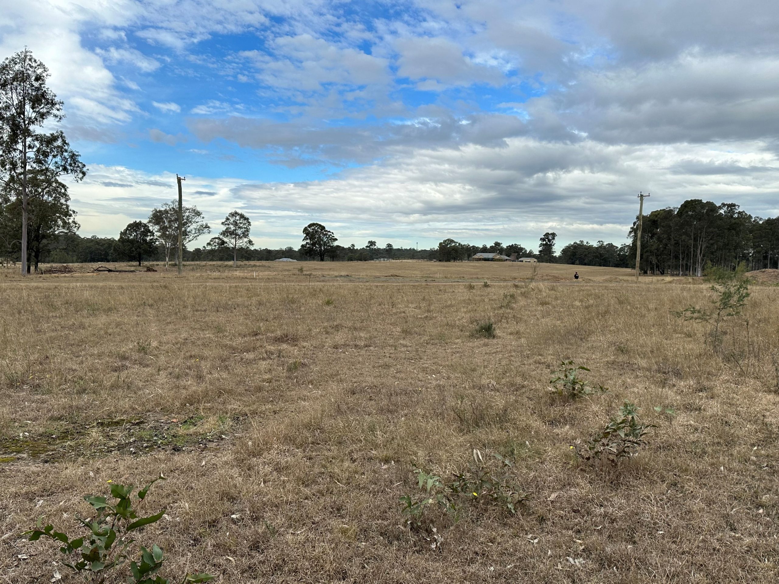 Lot 36 Olearia Place, Kurmond