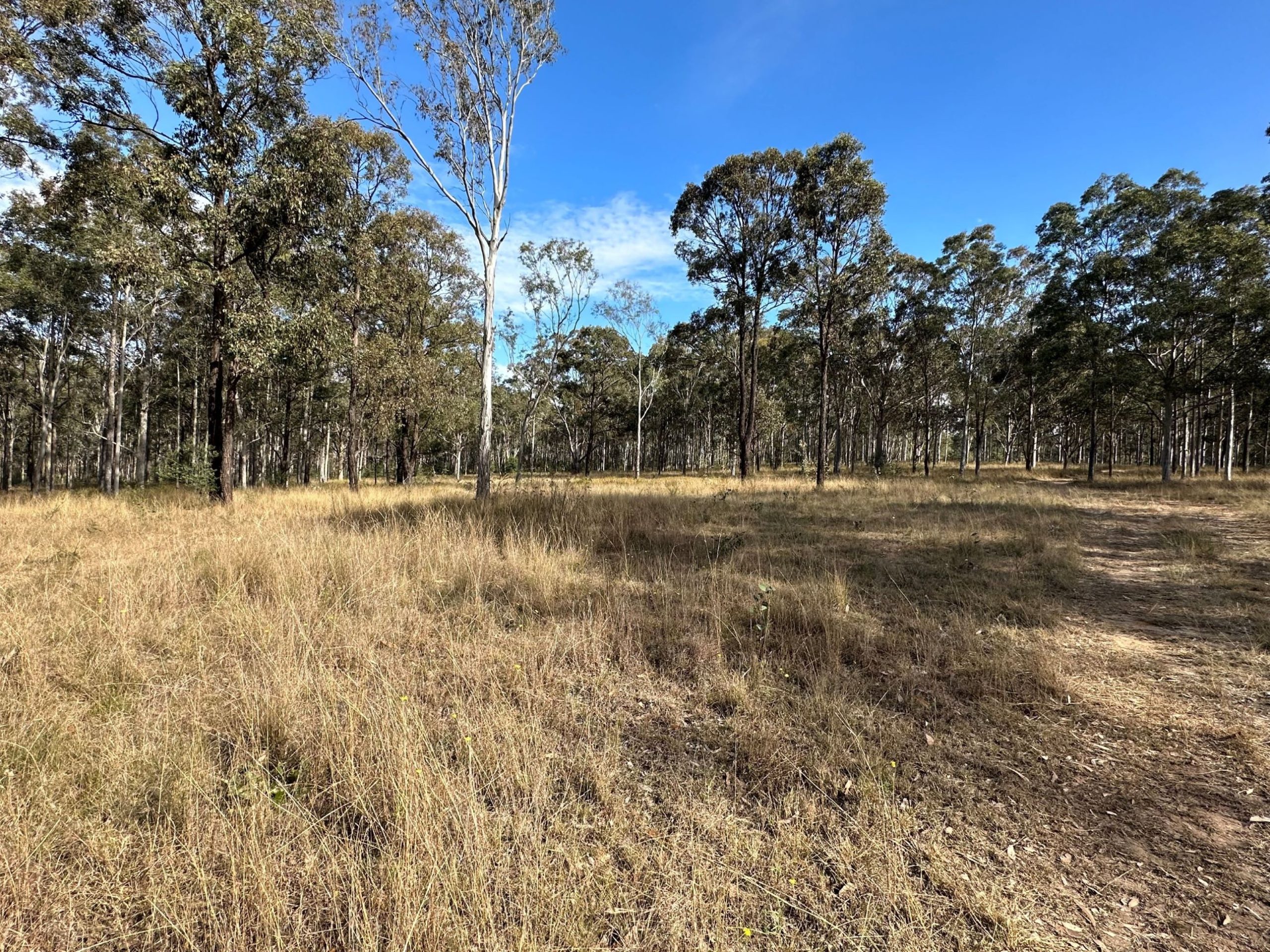 Lot 36 Olearia Place, Kurmond